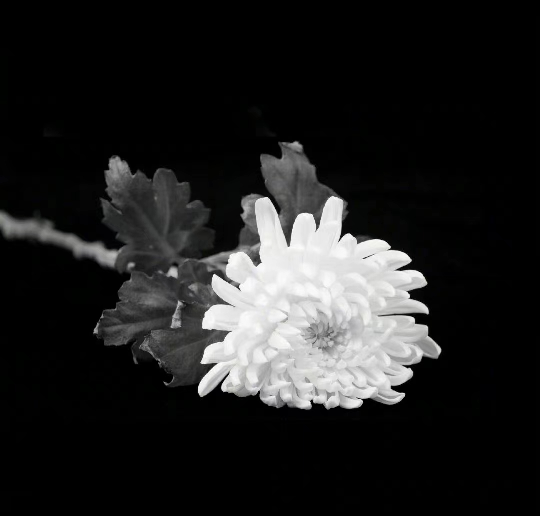 沉痛悼念   江泽民同志在上海逝世享年96岁